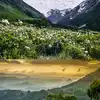 8 UNESCO heritage sites in India that shine during the monsoon