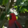 8 National Parks and Bird Sanctuaries That Are Birdwatcher Paradises
