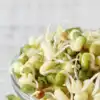 8 reasons why sprouts are great for diabetics