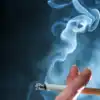 mile high pipe and tobacco wheat ridge MILE HIGH PIPE AND TOBACCO I - Updated May 2026 - 18 Photos & 25 Reviews -  3001 W 74th Ave, Westminster, Colorado - Tobacco Shops - Phone Number