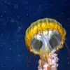  8 facts about animals that will shock you