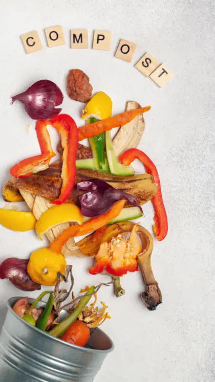 8 surprising ways to reuse kitchen waste that you should know