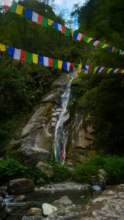 8 National Parks That Feel Like a Spiritual Retreat in India