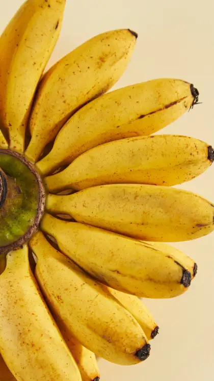 8 gut-healing Indian foods that nutritionists recommend