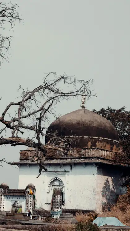 Untold Stories of Ranthambore National Park: Echoes in the Wild