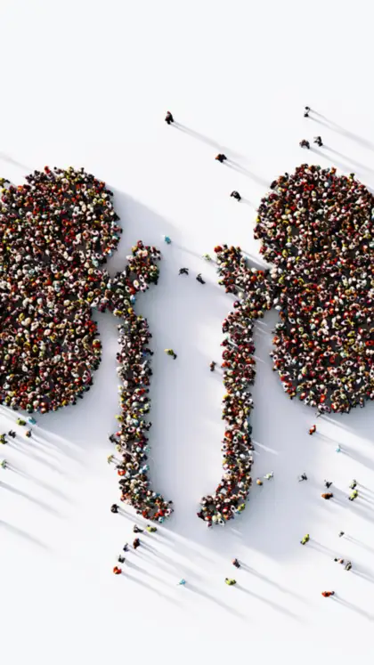 Why Kidney Health Matters