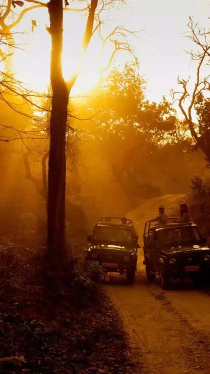 Jim Corbett National Park, Uttarakhand