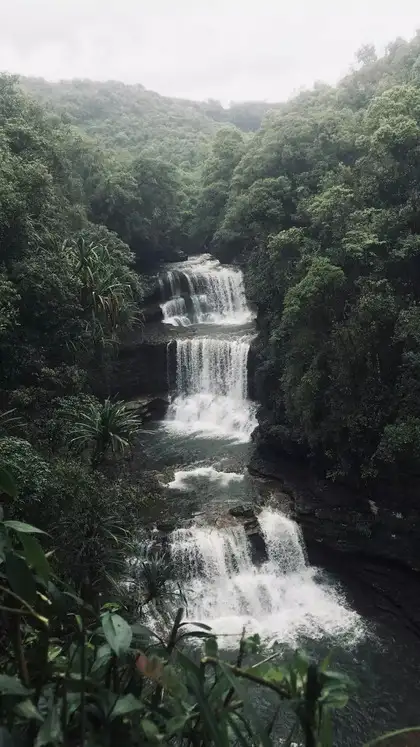 8 Waterfalls and Wilderness in Indian National Parks