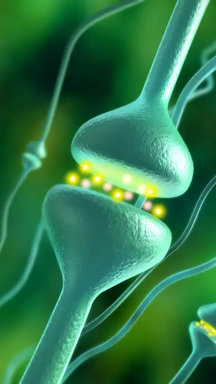 9 natural ways to boost your serotonin (happy hormone) levels 