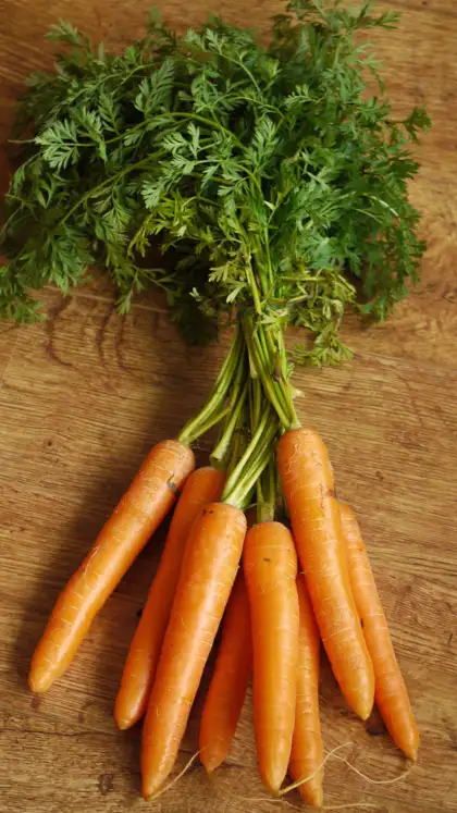 Carrots