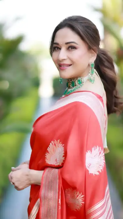 Madhuri Dixit’s Secret to Staying Fit at 58: Easy & Healthy Berry Protein Smoothie Recipe