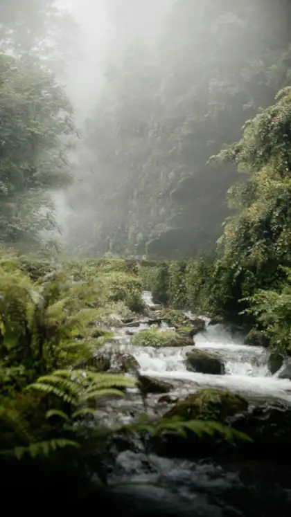 8 Must-Visit Monsoon Destinations in Uttarakhand for Nature & Wildlife Lovers