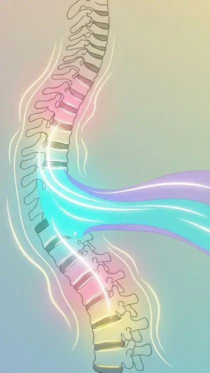 Understanding Your Back Pain