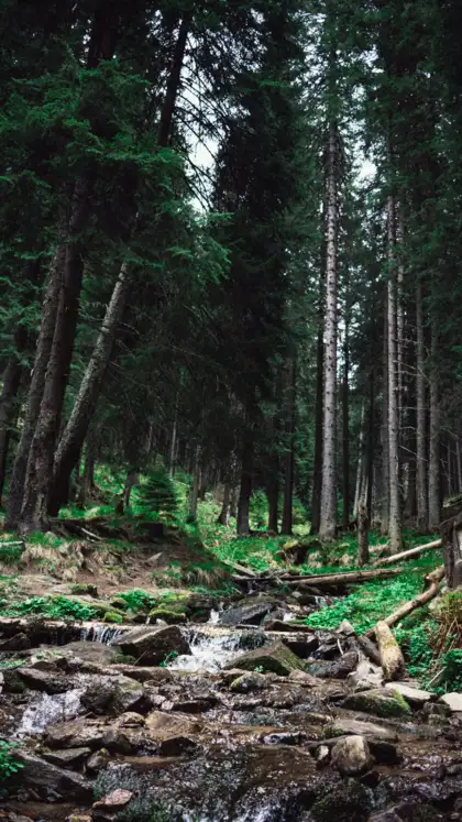 8 Ways to Experience India's Wilderness Responsibly