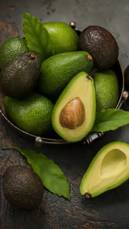 Rich Source of Healthy Fats