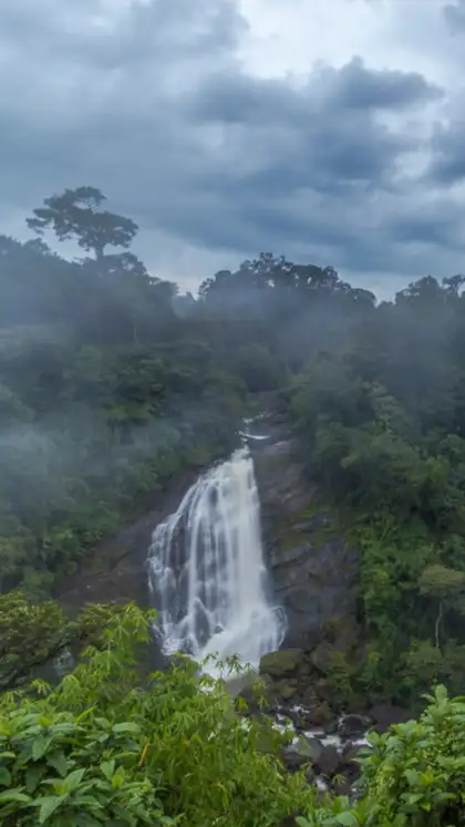 8 Hidden Gems in Munnar Every Nature Lover Must Explore
