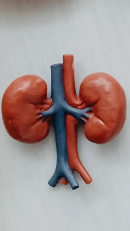 8 foods for healthy kidneys