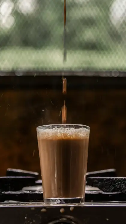 Rich in Antioxidants