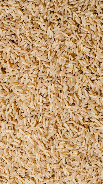 Choose Whole Grains