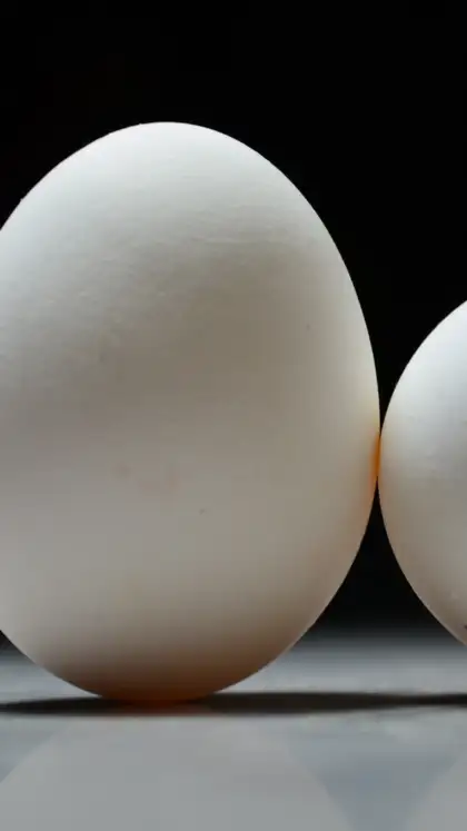 Eggs and lean poultry