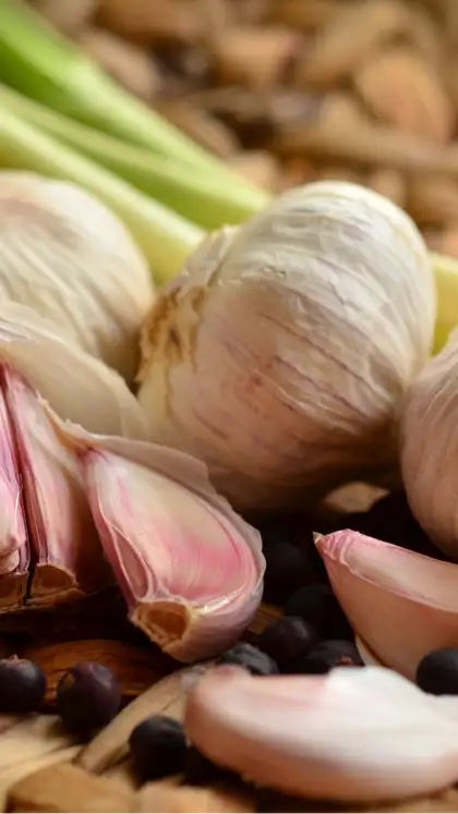Garlic