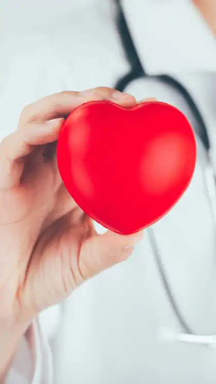 Foods that reduce cardiovascular risk