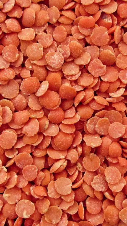 Lentils