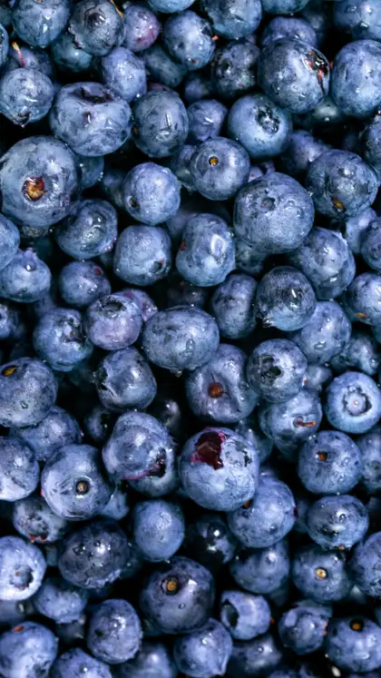 Blueberries