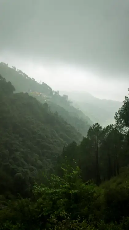Manali, Himachal Pradesh