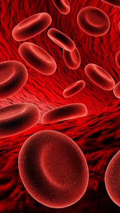 9 foods to cure iron deficiency 