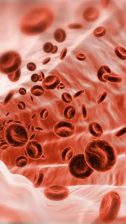 5 simple ways to control blood sugar levels
