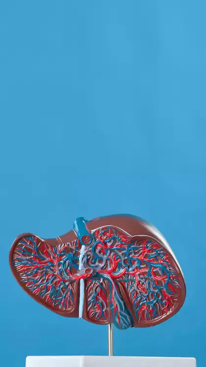 6 foods that naturally detoxify and protect your liver