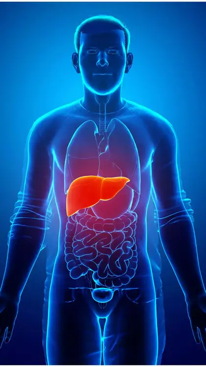 5 foods for perfect functioning liver