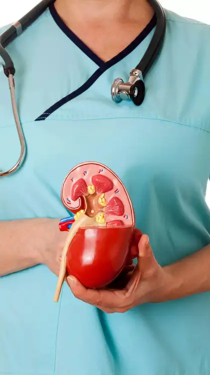 6 homemade drinks that support kidney health