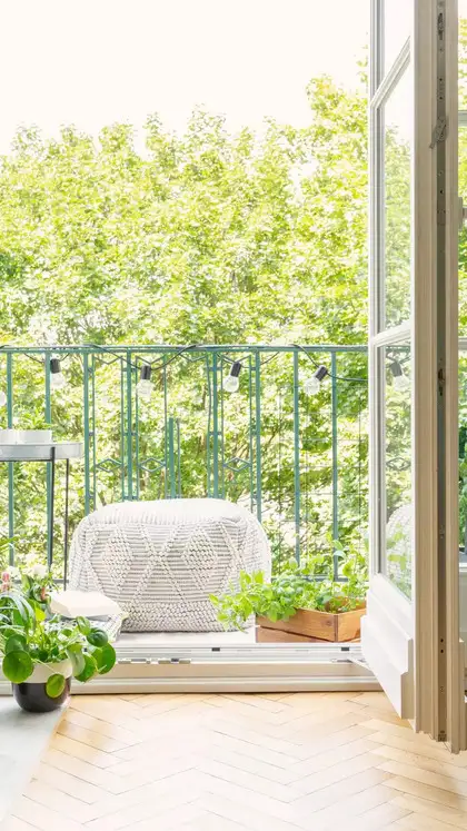 Map your sunlight (then pick plants)