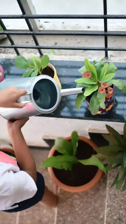 6 gardening tips for beautiful balcony gardens