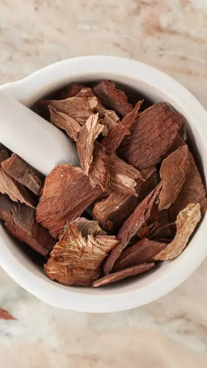  Arjuna (Terminalia arjuna): the core cardiotonic