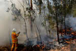 Toxic bushfire haze blankets eastern Australia