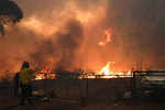 Fiery Flame: Bushfires rage in Australia