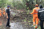 Cyclone Nisarga leaves trail of destruction