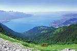 Montreux, which was home to Charlie Chaplin and Freddie Mercury, still weaves its Alpine magic