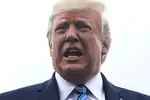 Greenland cold-shoulders Trump