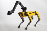 Animal-like robots to go on sale from next year