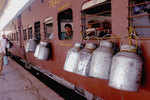 Railways delivers camel milk for a child