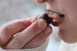 Love dark chocolate? Eating cocoa may boost Vitamin D intake