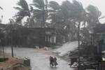 Cyclone Titli causes widespread damage