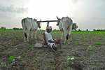 PMO likely to discuss relief for farmers