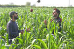 Meet the farmers with engineering, MBA degrees