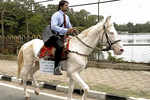 Bengaluru techie rides horse to office on last day of work