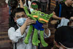 Pepe the protest frog? Hong Kong kids aren't alt-right